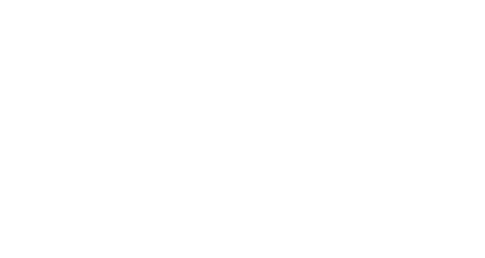 Work & Play - Little Birdies - Arbeiten mit Kinderbetreuung